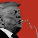 Why are Americans Going Nuts? By Howard Bloom